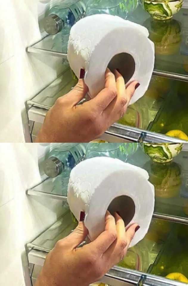 Why is it important to store toilet paper in the refrigerator? A little-known secret