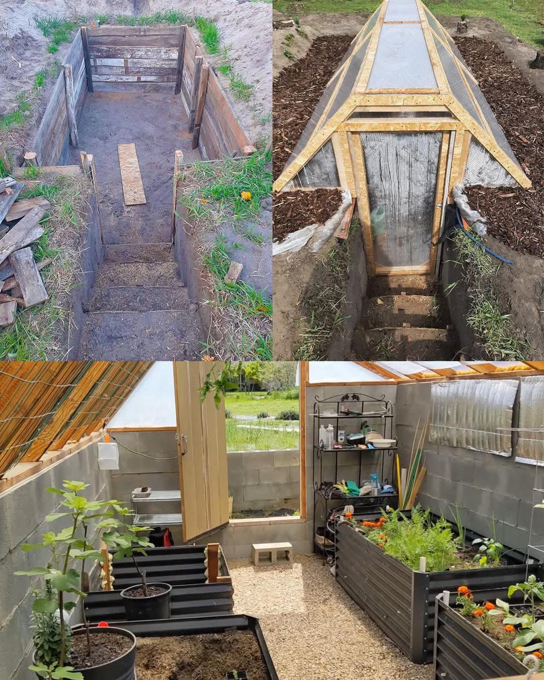How to Build an Underground Greenhouse (Walpini) to Grow Food All Year Round