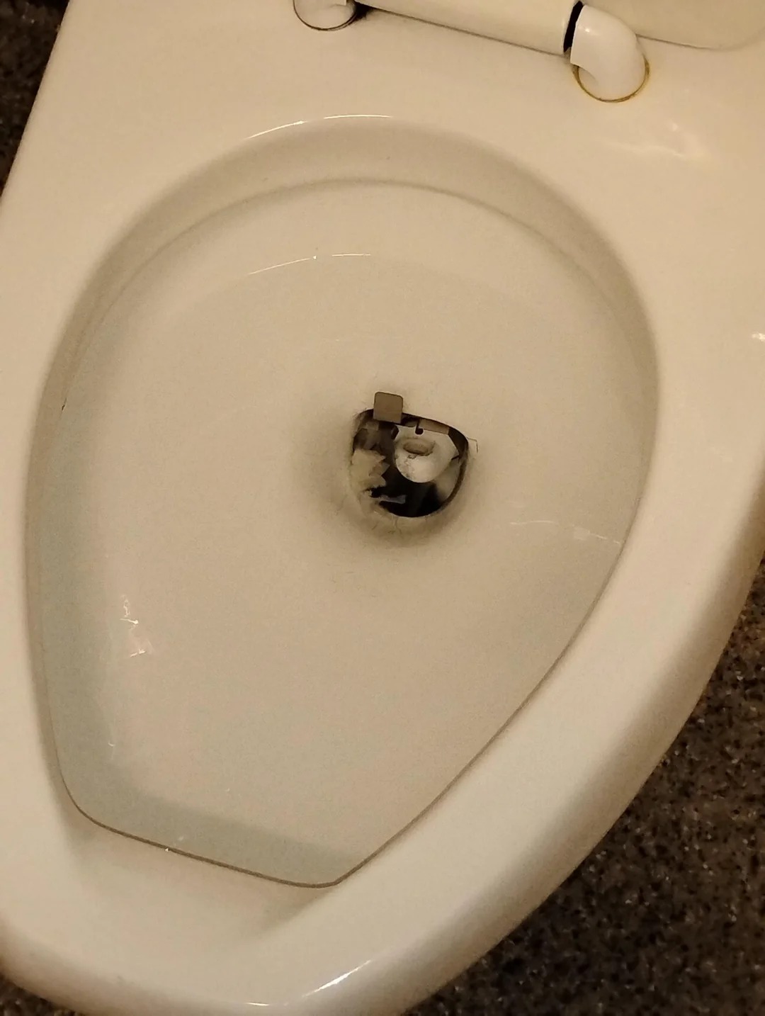 Think That Toilet Camera Is Watching You? It’s Not What You Think—And It’s Genius