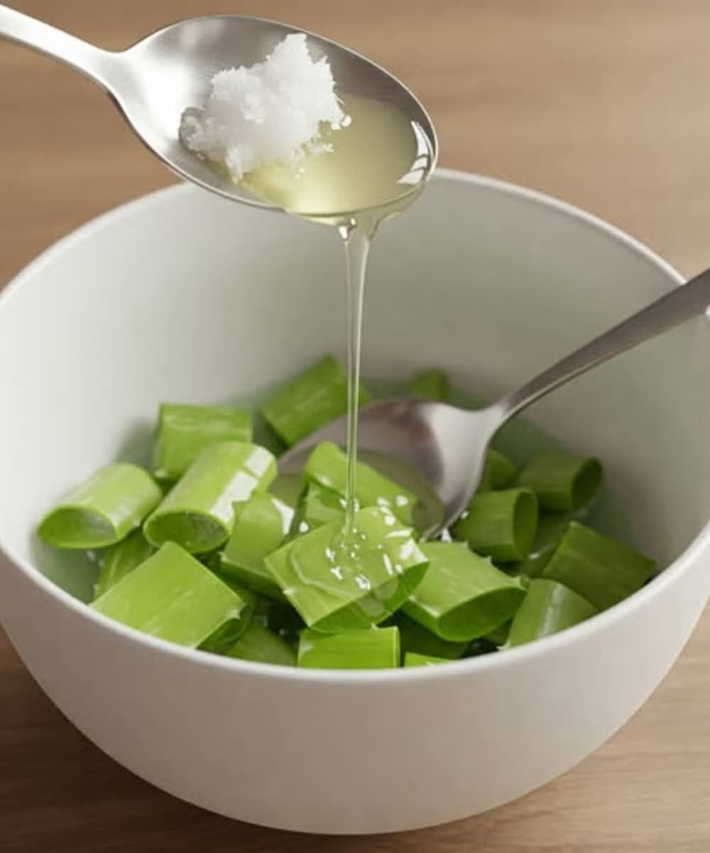 Aloe Vera and Coconut Oil: The Beauty Secret No One Tells You About