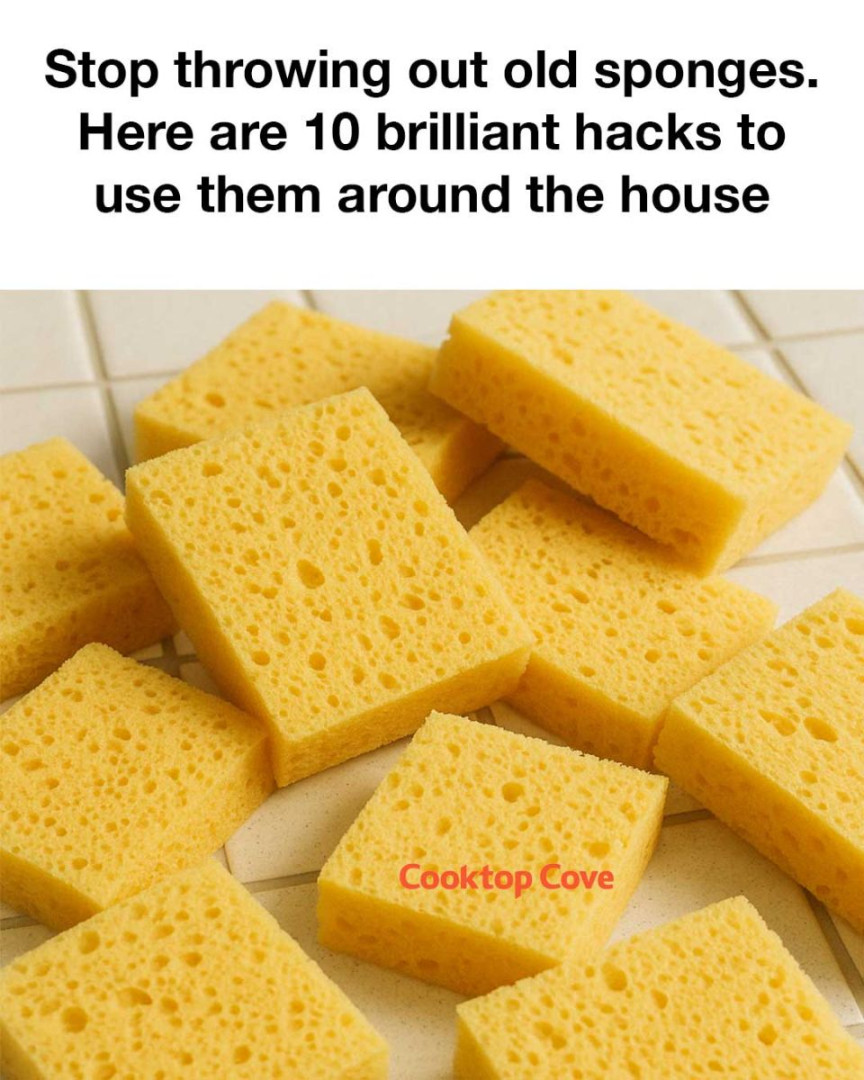 Stop throwing out old sponges. Here are 10 brilliant hacks to use them around the house